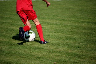 体育mk-篮球运动员心理健康服务体系研究，篮球运动员心理健康服务体系研究论文