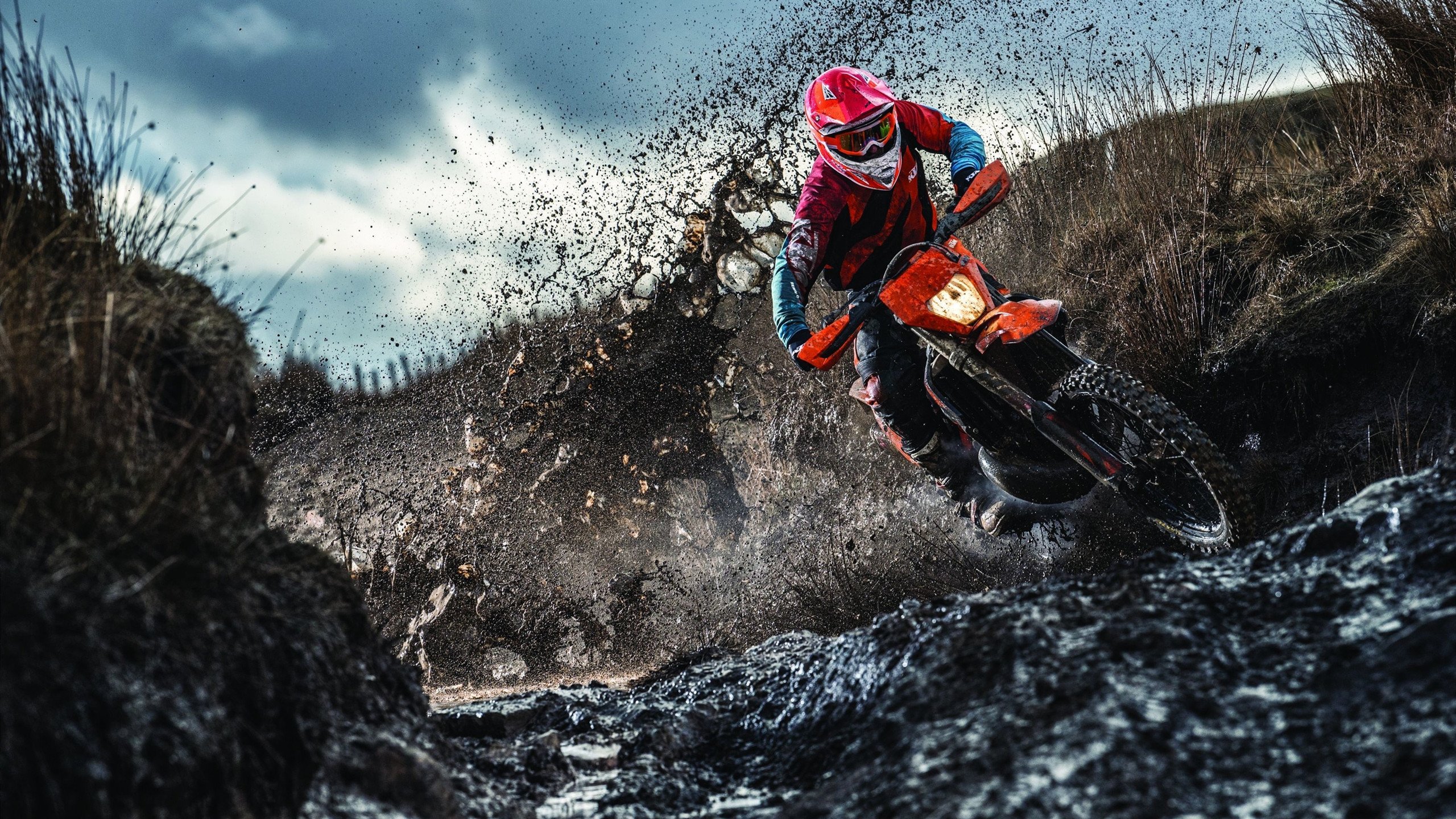 德国男将蛙泳项目稳定输出，德国泳装比赛