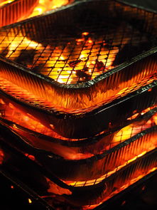 mk体育现在-森林狼主场布景焕然一新增强品牌识别度，森林狼logo